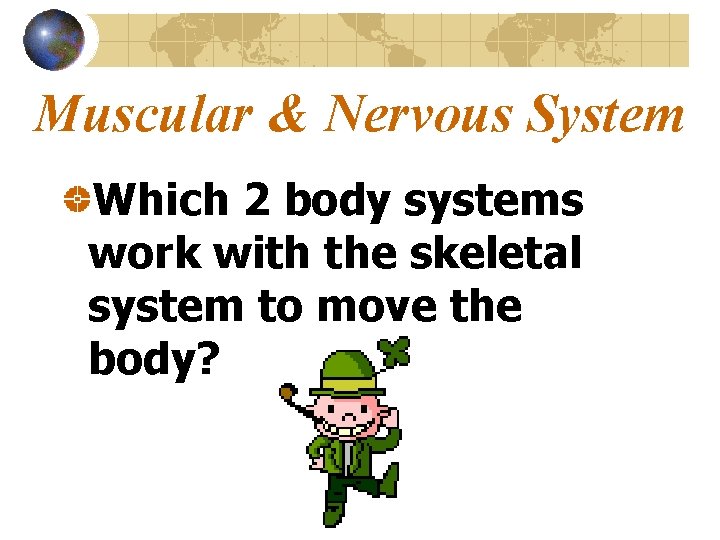 Muscular & Nervous System Which 2 body systems work with the skeletal system to