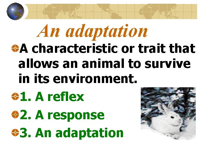 An adaptation A characteristic or trait that allows an animal to survive in its