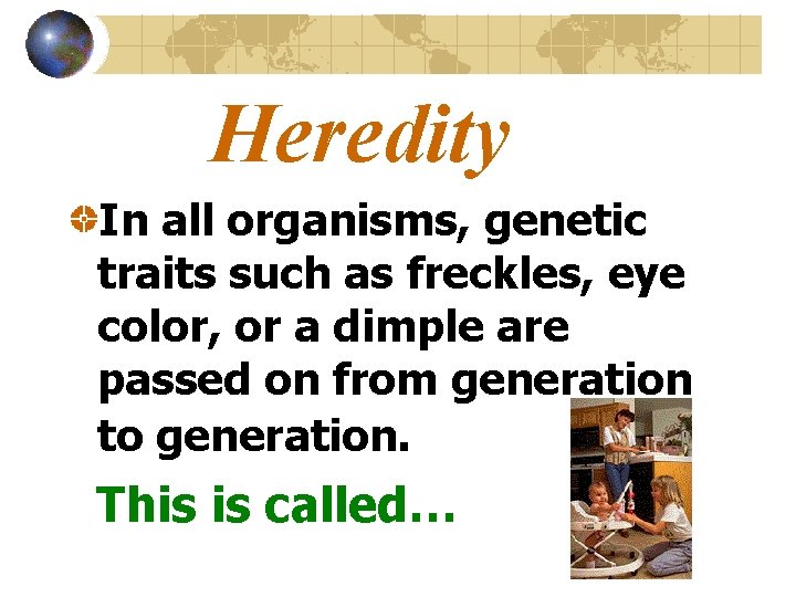 Heredity In all organisms, genetic traits such as freckles, eye color, or a dimple