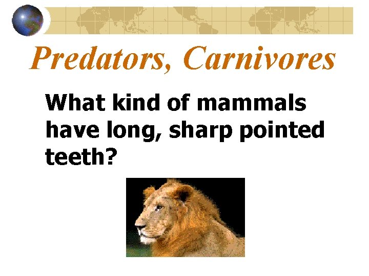 Predators, Carnivores What kind of mammals have long, sharp pointed teeth? 