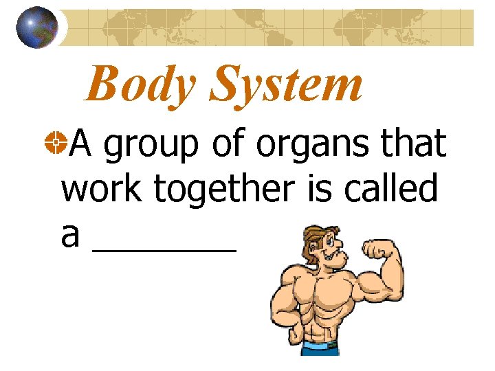 Body System A group of organs that work together is called a _______ 