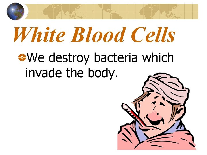 White Blood Cells We destroy bacteria which invade the body. 