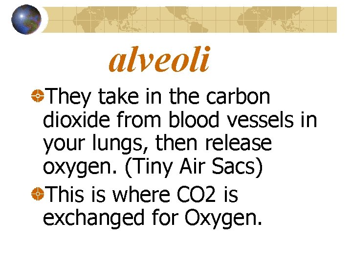 alveoli They take in the carbon dioxide from blood vessels in your lungs, then