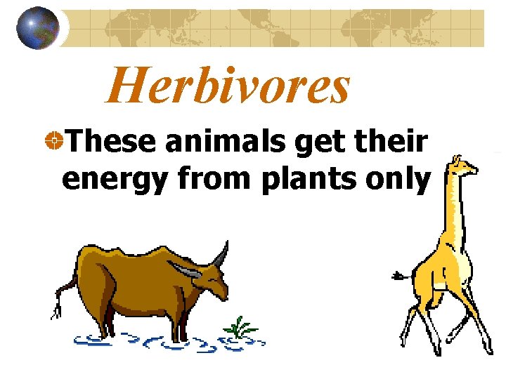 Herbivores These animals get their energy from plants only 