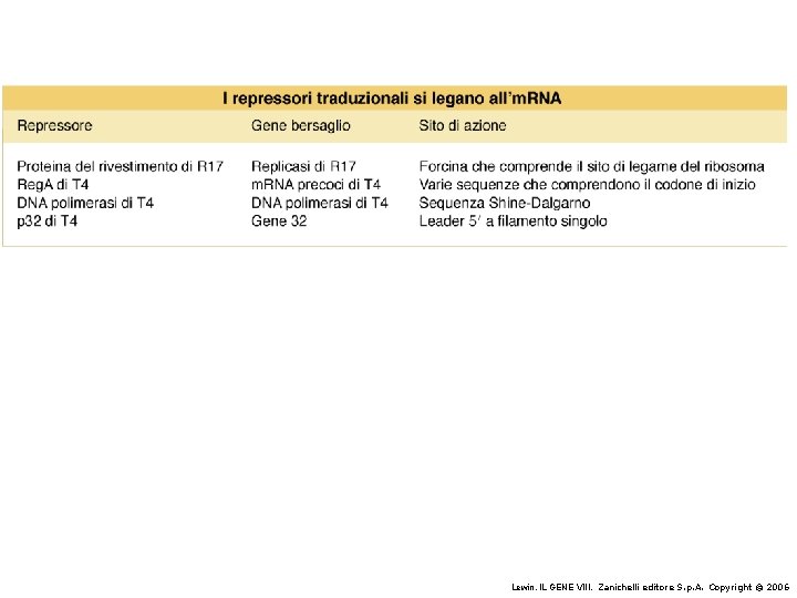 Lewin, IL GENE VIII, Zanichelli editore S. p. A. Copyright © 2006 Lewin, IL GENE VIII, Zanichelli editore S. p. A. Copyright © 2006