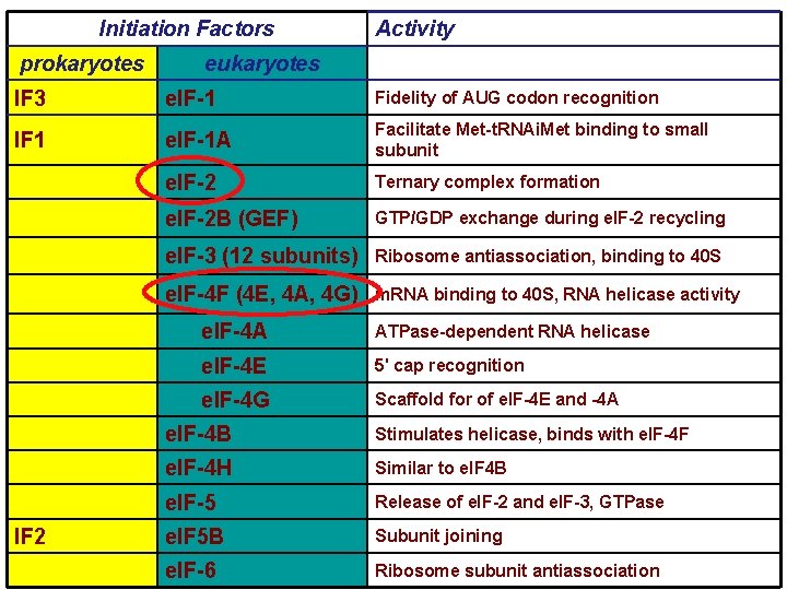 Initiation Factors prokaryotes Activity eukaryotes IF 3 e. IF-1 Fidelity of AUG codon recognition Initiation Factors prokaryotes Activity eukaryotes IF 3 e. IF-1 Fidelity of AUG codon recognition