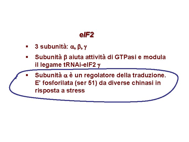 e. IF 2 § 3 subunità: a, b, g § Subunità b aiuta attività e. IF 2 § 3 subunità: a, b, g § Subunità b aiuta attività