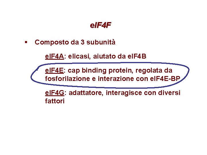 e. IF 4 F § Composto da 3 subunità e. IF 4 A: elicasi, e. IF 4 F § Composto da 3 subunità e. IF 4 A: elicasi,