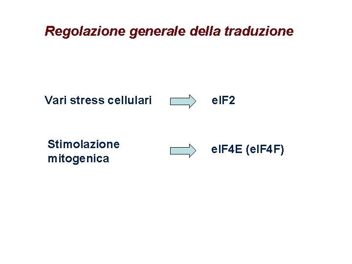 Regolazione generale della traduzione Vari stress cellulari e. IF 2 Stimolazione mitogenica e. IF Regolazione generale della traduzione Vari stress cellulari e. IF 2 Stimolazione mitogenica e. IF