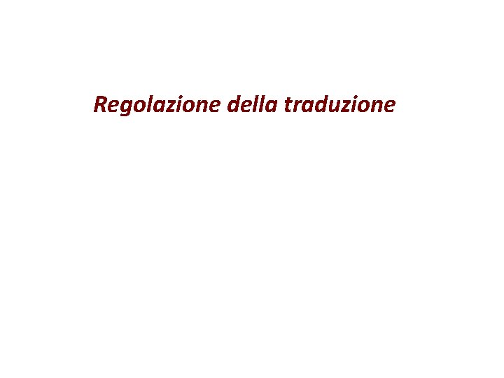 Regolazione della traduzione Regolazione della traduzione