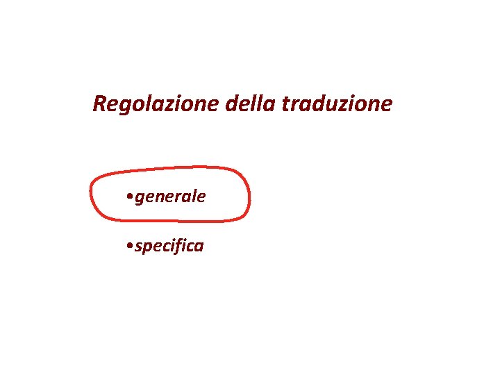 Regolazione della traduzione • generale • specifica Regolazione della traduzione • generale • specifica