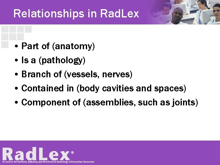 Relationships in Rad. Lex • Part of (anatomy) • Is a (pathology) • Branch