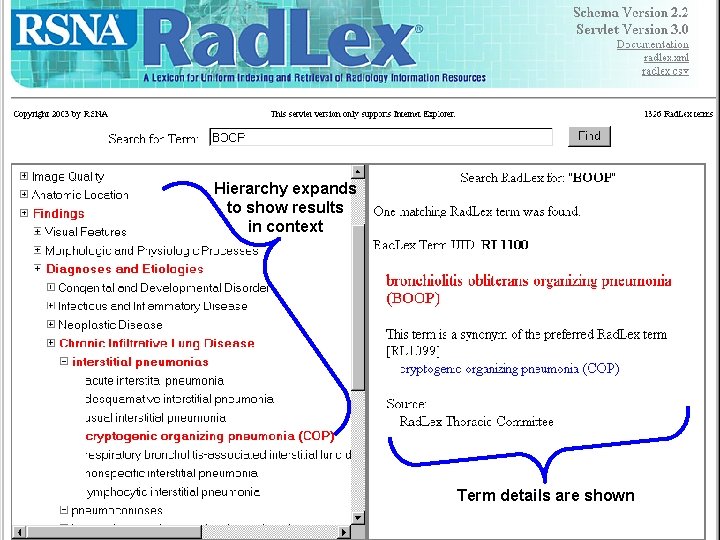 BOOP Search Hierarchy expands to show results in context Term details are shown 