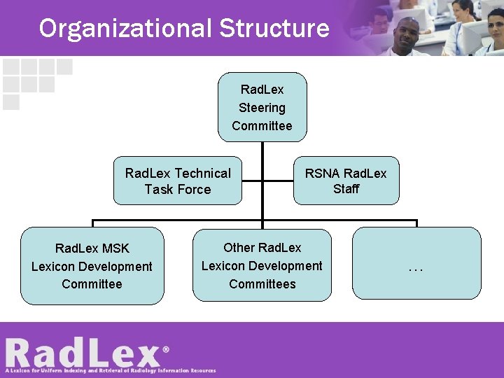 Organizational Structure Rad. Lex Steering Committee Rad. Lex Technical Task Force Rad. Lex MSK