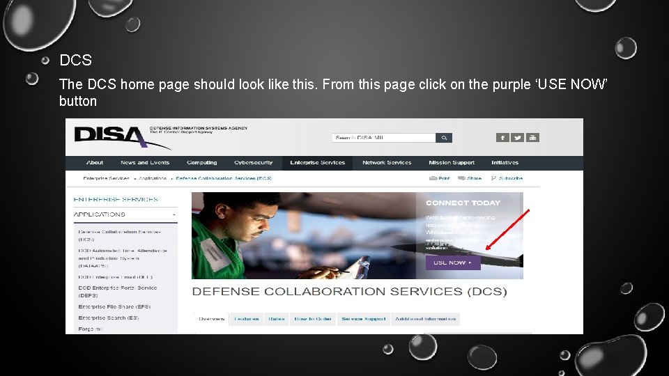 DCS The DCS home page should look like this. From this page click on