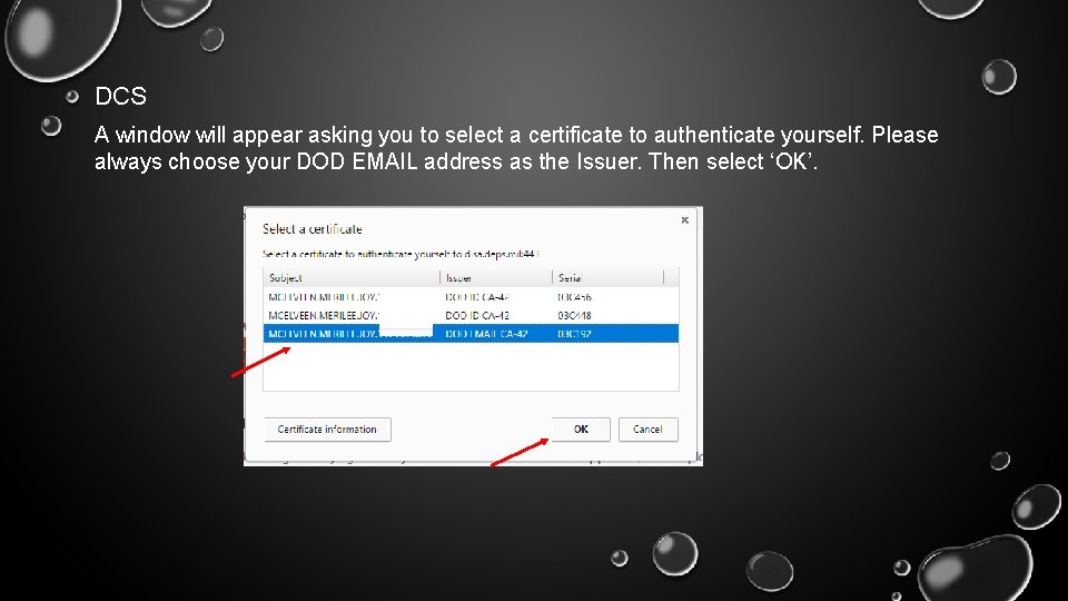 DCS A window will appear asking you to select a certificate to authenticate yourself.