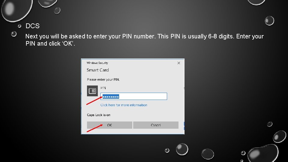 DCS Next you will be asked to enter your PIN number. This PIN is