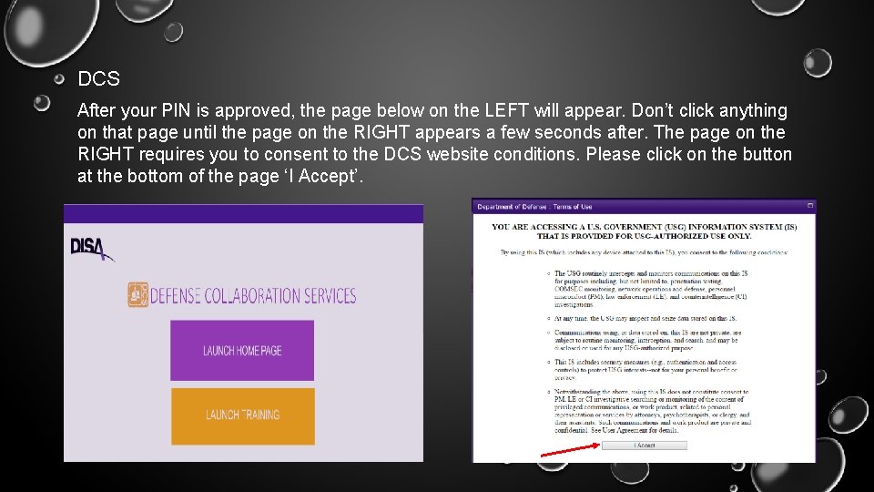 DCS After your PIN is approved, the page below on the LEFT will appear.