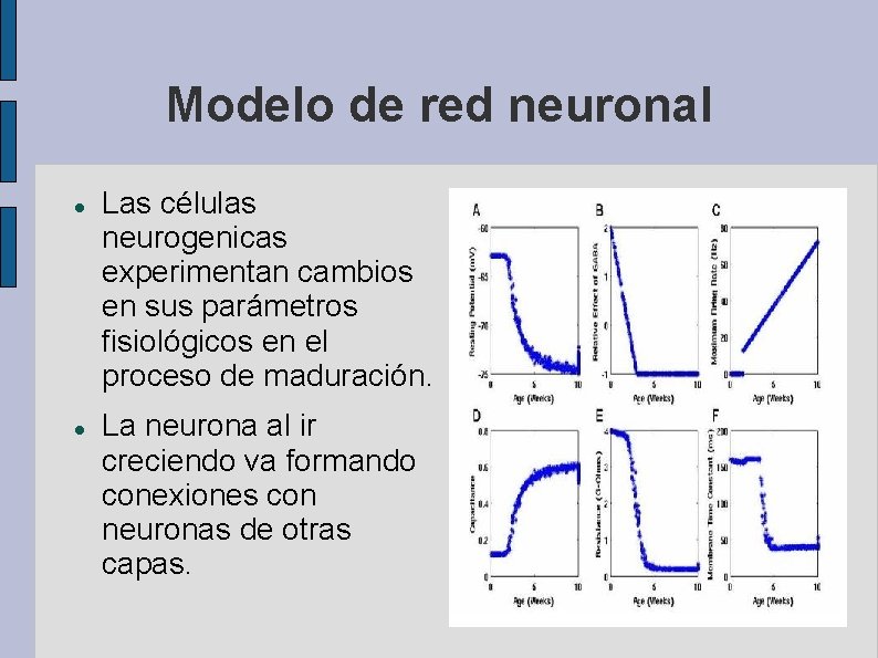 Modelo de red neuronal Las células neurogenicas experimentan cambios en sus parámetros fisiológicos en