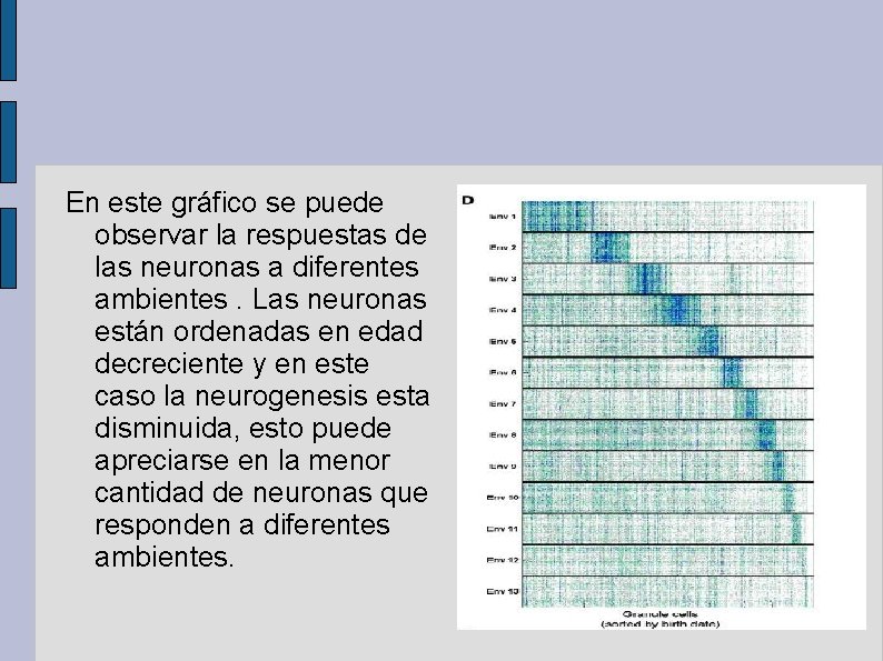 En este gráfico se puede observar la respuestas de las neuronas a diferentes ambientes.