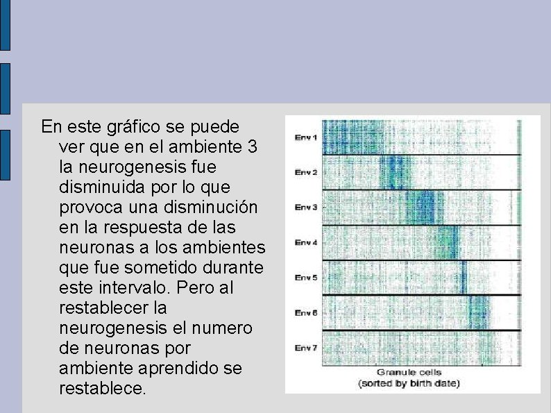 En este gráfico se puede ver que en el ambiente 3 la neurogenesis fue