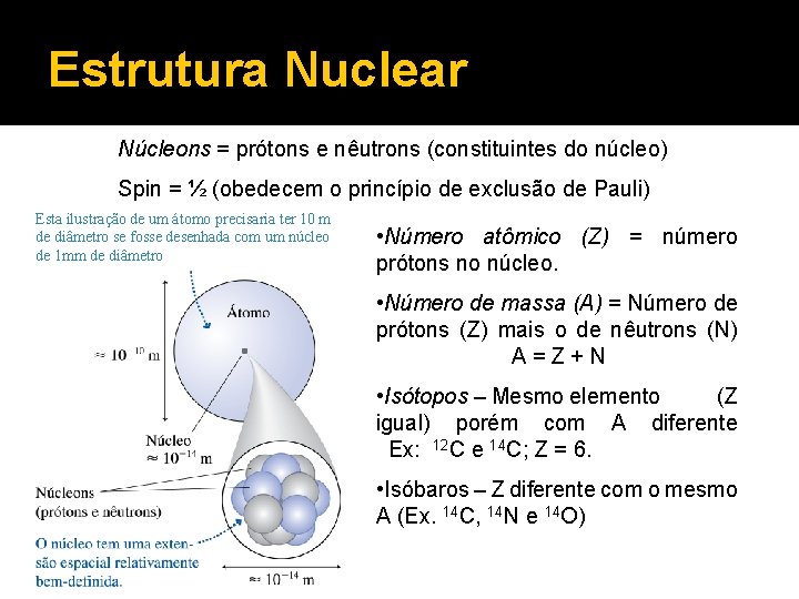 Estrutura Nuclear Núcleons = prótons e nêutrons (constituintes do núcleo) Spin = ½ (obedecem