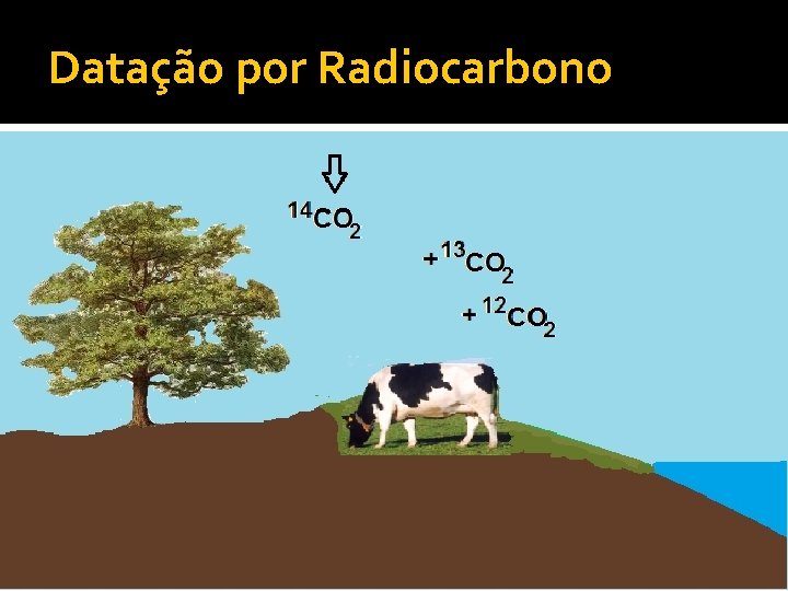 Datação por Radiocarbono 