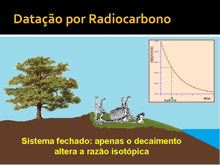 Datação por Radiocarbono Sistema fechado: apenas o decaimento altera a razão isotópica 