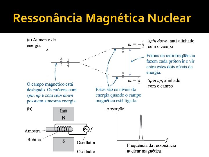 Ressonância Magnética Nuclear 