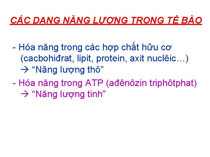 CÁC DẠNG NĂNG LƯỢNG TRONG TẾ BÀO - Hóa năng trong các hợp chất