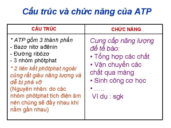 Cấu trúc và chức năng của ATP CẤU TRÚC * ATP gồm 3 thành