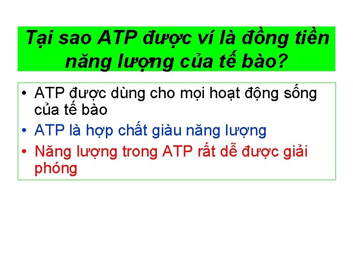 Tại sao ATP được ví là đồng tiền năng lượng của tế bào? •