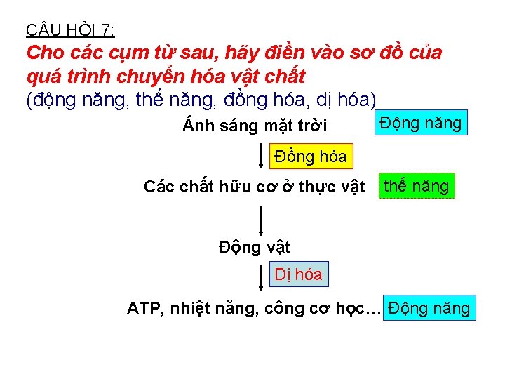 C U HỎI 7: Cho các cụm từ sau, hãy điền vào sơ đồ