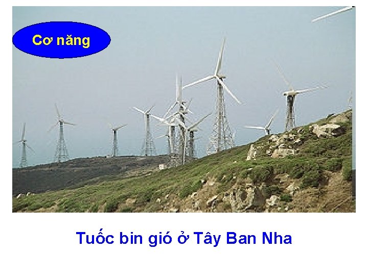 Cơ năng Tuốc bin gió ở Tây Ban Nha 