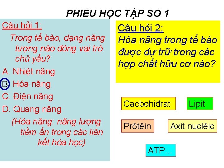 PHIẾU HỌC TẬP SỐ 1 Câu hỏi 1: Câu hỏi 2: Trong tế bào,