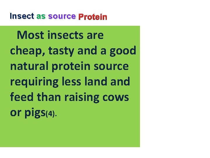 Insect as source Protein Most insects are cheap, tasty and a good natural protein