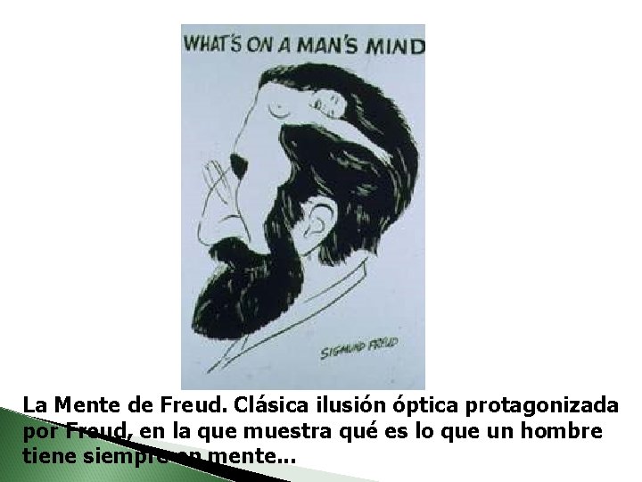 La Mente de Freud. Clásica ilusión óptica protagonizada por Freud, en la que muestra