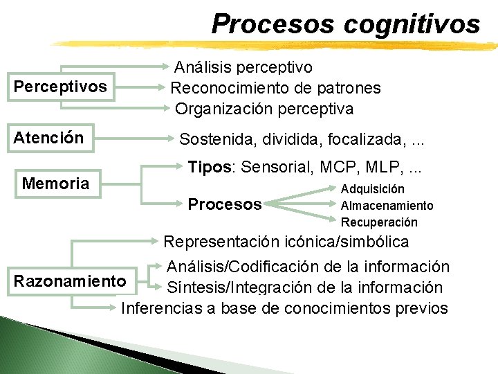 Procesos cognitivos Perceptivos Atención Memoria Análisis perceptivo Reconocimiento de patrones Organización perceptiva Sostenida, dividida,