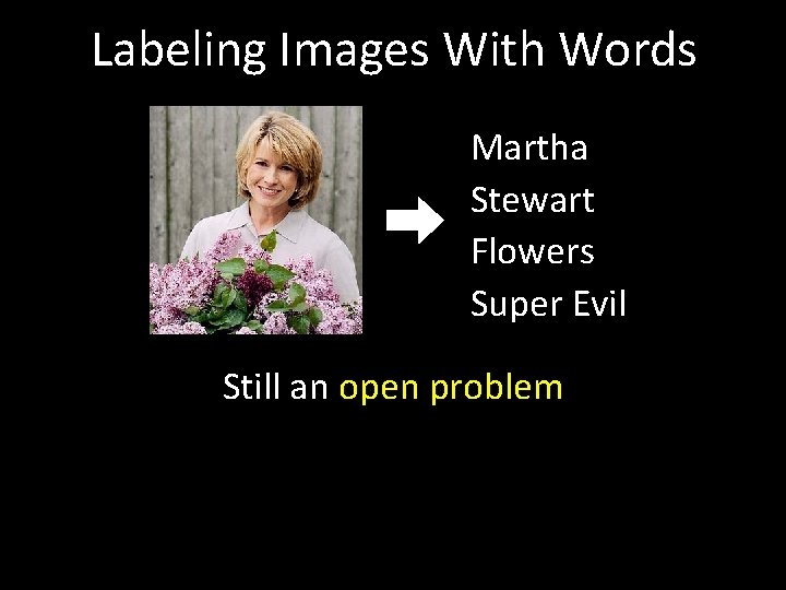 Labeling Images With Words Martha Stewart Flowers Super Evil Still an open problem 