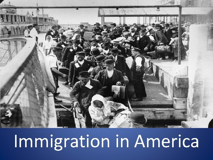 Immigration in America 