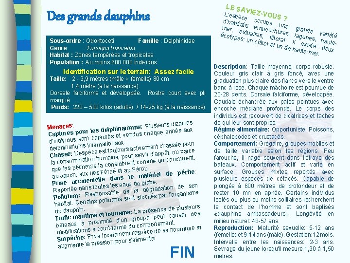 LE SA V Des grands dauphins Sous-ordre : Odontoceti Famille : Delphinidae Genre :