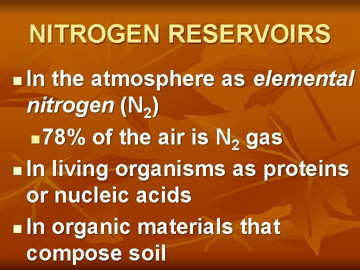 NITROGEN RESERVOIRS In the atmosphere as elemental nitrogen (N 2) n 78% of the