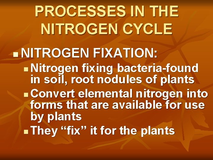 PROCESSES IN THE NITROGEN CYCLE n NITROGEN FIXATION: Nitrogen fixing bacteria-found in soil, root