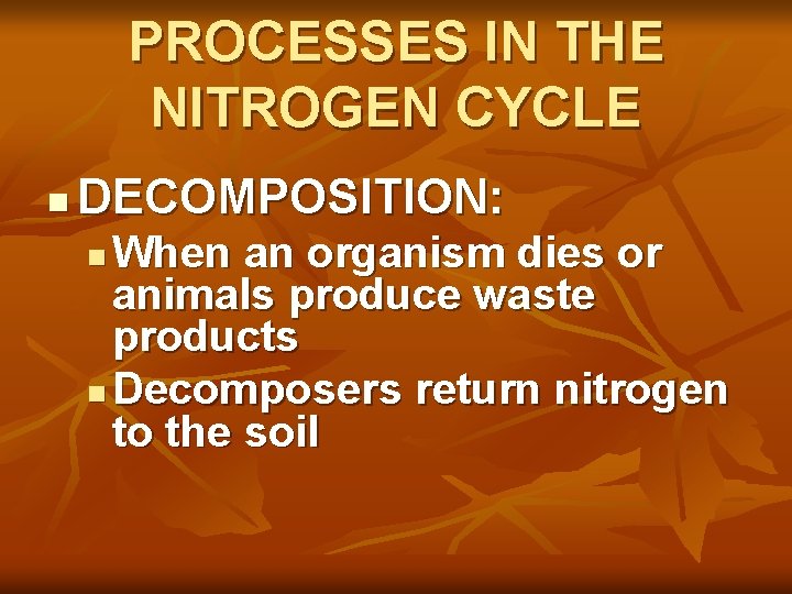 PROCESSES IN THE NITROGEN CYCLE n DECOMPOSITION: When an organism dies or animals produce