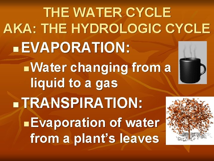 THE WATER CYCLE AKA: THE HYDROLOGIC CYCLE n EVAPORATION: n n Water changing from
