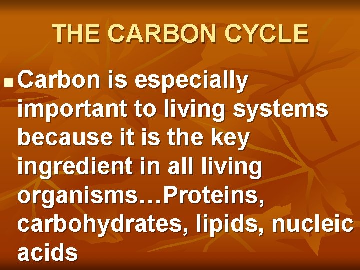 THE CARBON CYCLE n Carbon is especially important to living systems because it is