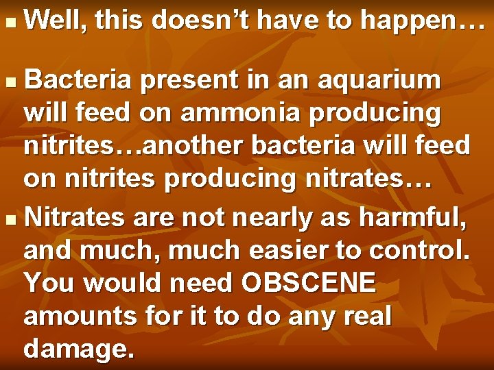 n Well, this doesn’t have to happen… Bacteria present in an aquarium will feed