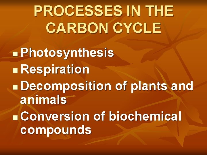 PROCESSES IN THE CARBON CYCLE Photosynthesis n Respiration n Decomposition of plants and animals