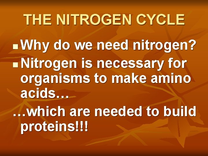 THE NITROGEN CYCLE Why do we need nitrogen? n Nitrogen is necessary for organisms