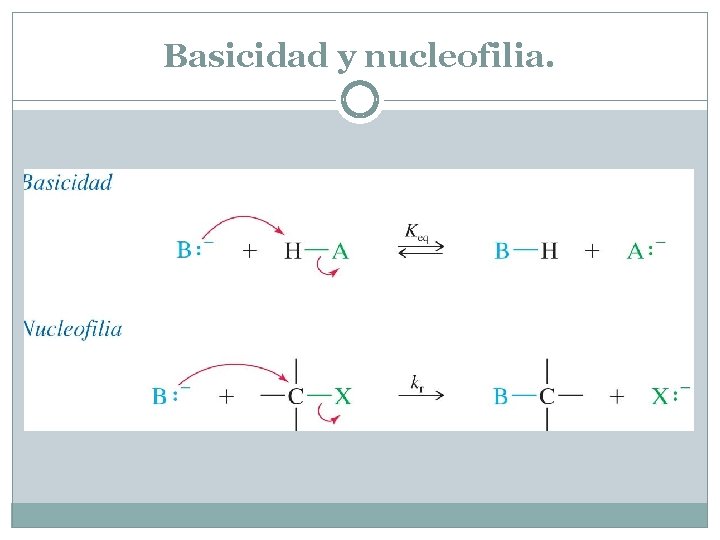 Basicidad y nucleofilia. 